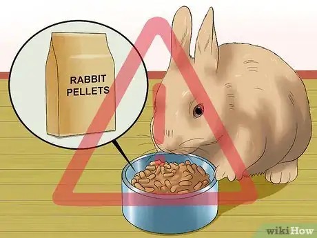Imagen titulada Stop a Rabbit from Sneezing Step 9