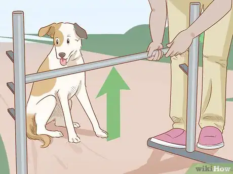 Imagen titulada Teach Your Dog to Jump Step 14