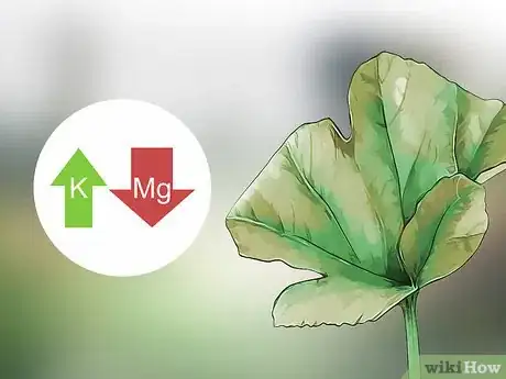 Imagen titulada Add Potassium to an Organic Garden Step 14