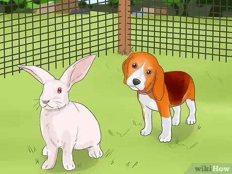 Imagen titulada Train a Dog for Rabbit Hunting Step 5