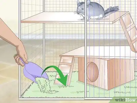 Imagen titulada Care for Chinchillas Step 7