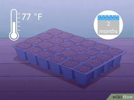 Imagen titulada Grow Monkey Grass from Seed Step 5