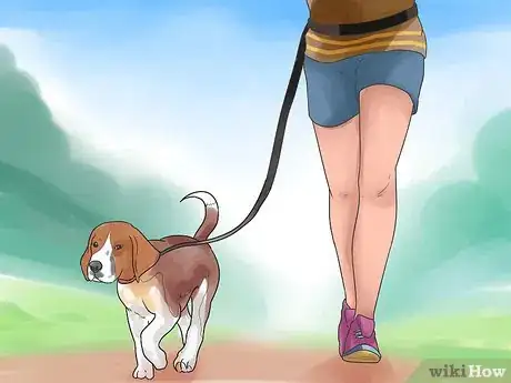 Imagen titulada Take Care of a Beagle Puppy Step 12