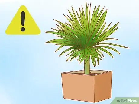 Imagen titulada Prevent Cats from Eating Plants Step 13