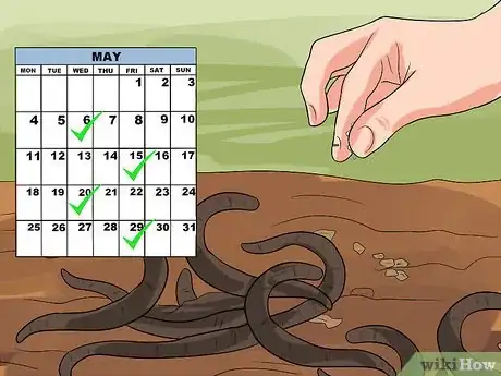 Imagen titulada Keep Fishing Worms Alive for Fishing Step 9