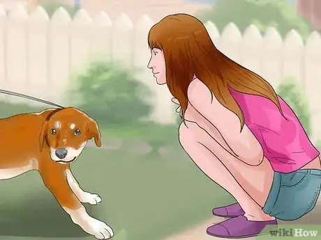Imagen titulada Temperament Test a Dog Step 18