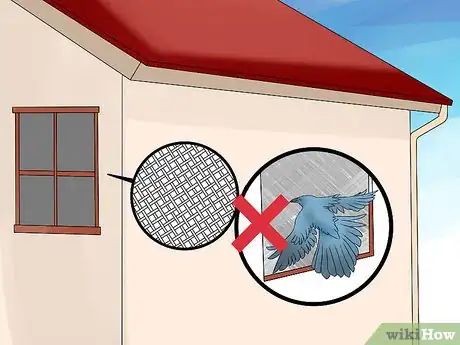 Imagen titulada Chase a Bird out of an Enclosed Porch or a House Step 12
