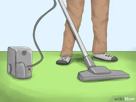 Imagen titulada Get Rid of Tropical Rat Mites on Pet Rats Step 3Bullet5