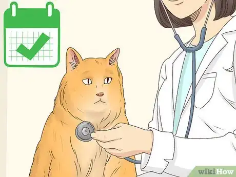 Imagen titulada Help a Cat Cough Up a Hairball Step 13