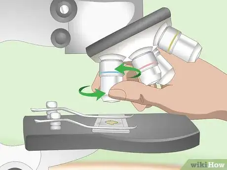 Imagen titulada Use a Light Microscope Step 8