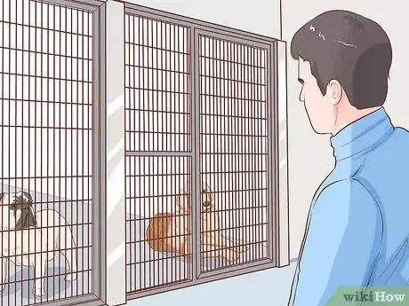 Imagen titulada Get Another Dog After a Pet Dog's Death Step 8