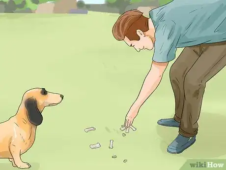 Imagen titulada Train a Dog for Rabbit Hunting Step 3