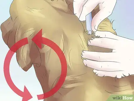 Imagen titulada Remove Ear Mites from a Dog Step 11