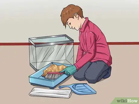 Imagen titulada Clean Out a Hamster Cage Step 12