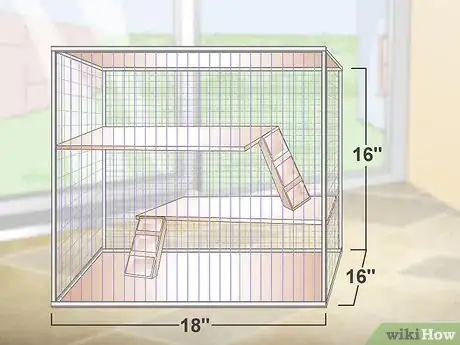 Imagen titulada Care for Chinchillas Step 1