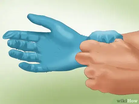 Imagen titulada Care for a Skunk Sprayed Dog Step 3