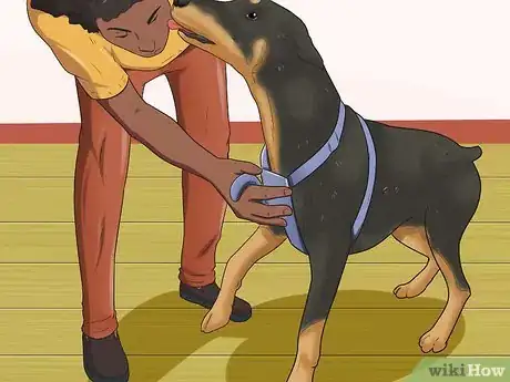 Imagen titulada Train a Doberman Pinscher Step 4