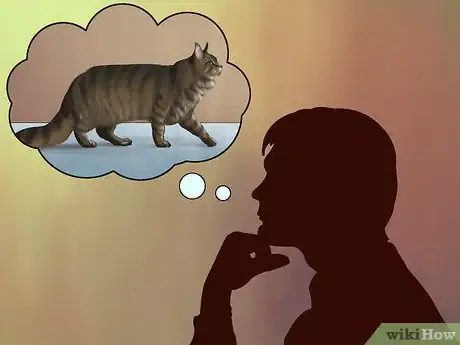Imagen titulada Identify a Maine Coon Step 16