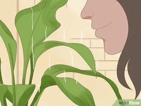 Imagen titulada Save an Overwatered Plant Step 4