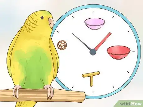 Imagen titulada Know if a Parakeet Is Right for You Step 4
