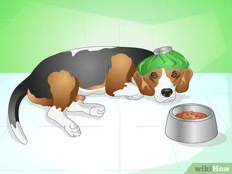 Imagen titulada Get Your Dog to Eat the Dog Food It Does Not Like Step 13