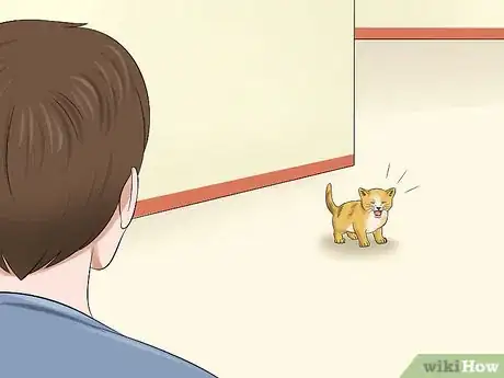 Imagen titulada Care for an Abandoned Kitten Step 1