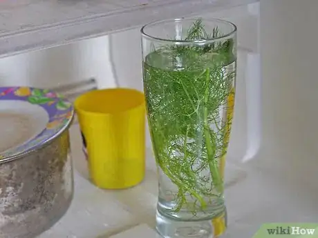 Imagen titulada Preserve Fennel Step 4