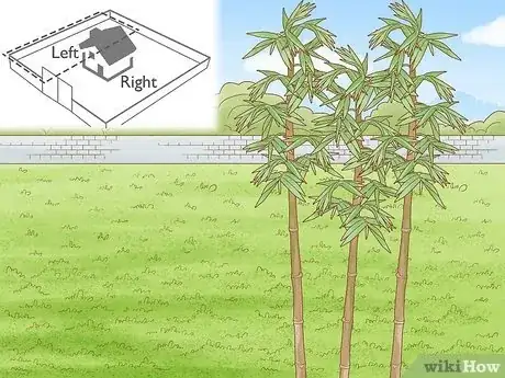 Imagen titulada Choose Plants for Good Feng Shui Step 3