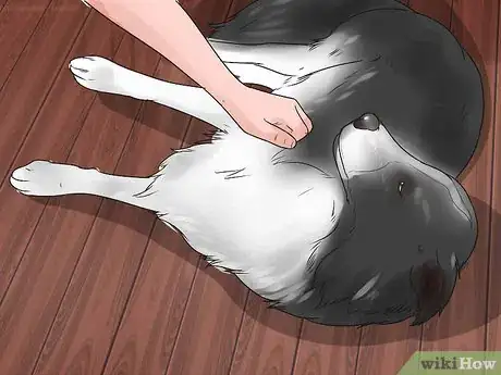 Imagen titulada Temperament Test a Dog Step 14