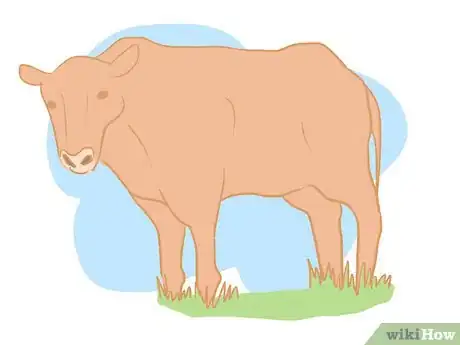 Imagen titulada Collect Semen from a Bull for a Breeding Soundness Exam Step 14