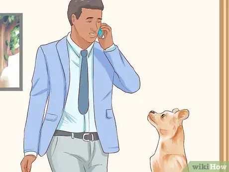Imagen titulada Get Another Dog After a Pet Dog's Death Step 5