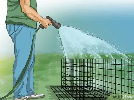 Imagen titulada Raise Quail Step 20