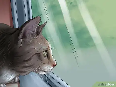 Imagen titulada Get Rid of Harvest Mite Infestations in Cats Step 8
