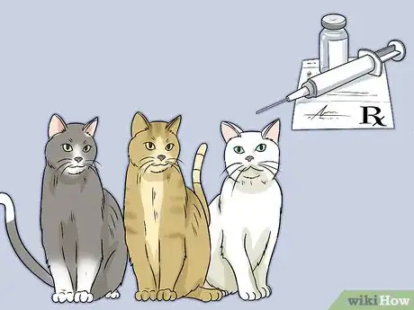 Imagen titulada Identify Cat Stool Problems Step 6