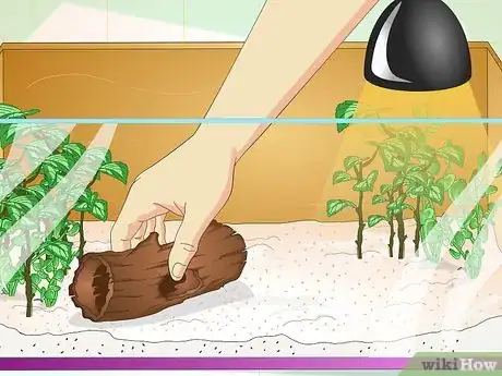 Imagen titulada Create a Green Anole Habitat Step 4