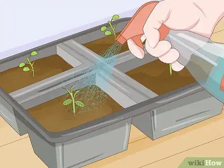 Imagen titulada Thin Out Seedlings Step 10
