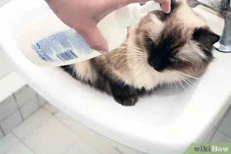 Imagen titulada Help a Sick Cat Step 11
