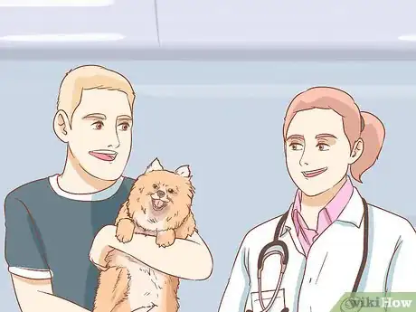 Imagen titulada Take Care of a Pomeranian Step 21