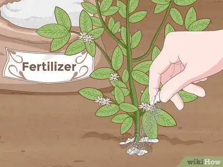 Imagen titulada Improve Soil Step 5