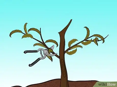 Imagen titulada Prune a Peach Tree Step 11