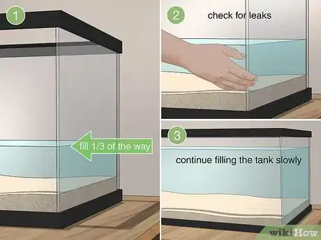 Imagen titulada Start a Saltwater Aquarium Step 19