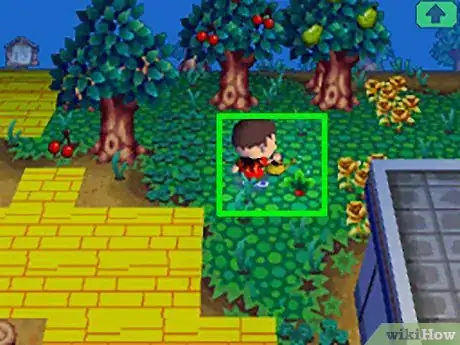 Imagen titulada Get Red Turnips in Animal Crossing Step 5