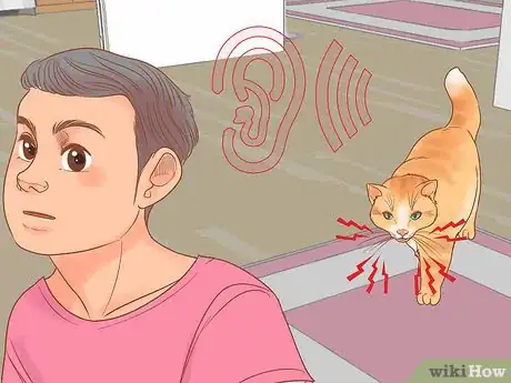 Imagen titulada Treat Hoarseness in Cats Step 13