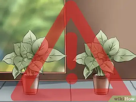 Imagen titulada Get Rid of Spider Mites Step 5