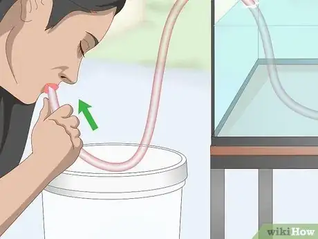 Imagen titulada Siphon Water Step 3
