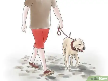 Imagen titulada Train a Pit Bull Step 8