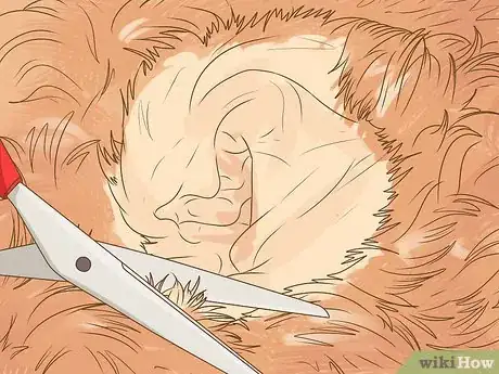Imagen titulada Clean a Cocker Spaniel's Ears Step 9