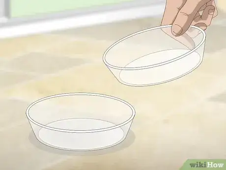 Imagen titulada Maintain Humidity in a Pet Hermit Crab Habitat Step 5