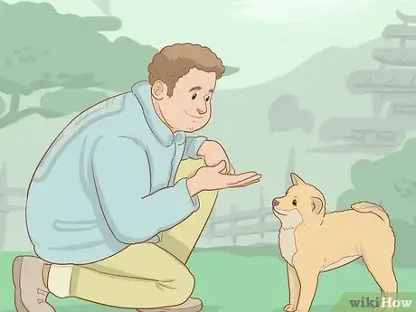 Imagen titulada Play With Your Puppy Step 3
