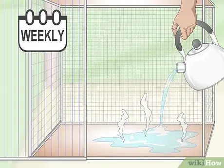 Imagen titulada Care for Chinchillas Step 9